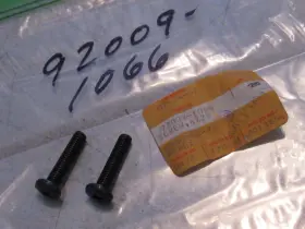 92009-1066 Kawasaki Zn1300 Voyager/kz1300 Fairing/windshield Screws 2 Nos