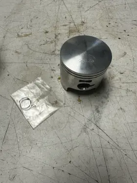 3085895 Polaris Oem Piston