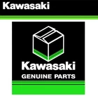 Brand New Kawasaki Fixed Windshield Lg 99994-0823. Price: $402.64.