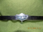 Harley Davidson 100TH Windshield Trim For Flst & Flhr Nice Used Condition. Price: $150.00.