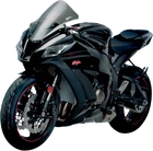 Zero Gravity Fits Corsa Windscreen Smoke ZX10 24-263M-02 New. Price: $119.95.