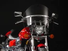 National Cycle Switchblade Chopped-tint New. Price: $350.96.