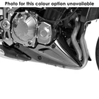 Ermax Belly Pan (metallic Spark Black) Kawasaki Z 900 2017-2019 New. Price: $371.66.