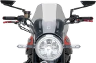 Puig Naked Windshield Smoke 21347H New. Price: $73.54.