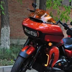 Orange Pmma 7.0" Windscreen Windshield For Harley Road Glide Special Fltrx 15-23 New. Price: $89.95.