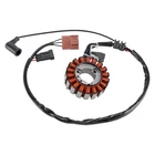 Magneto Stator Generator For Aprilia Sportcity Scarabeo 250 300 Altantic 125 New. Price: $52.99.